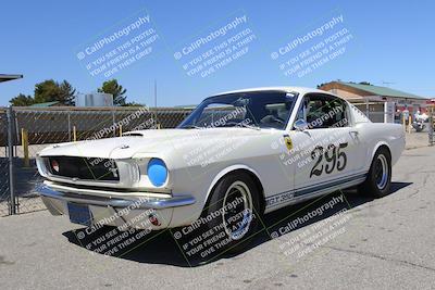 media/May-07-2022-Cobra Owners Club of America (Sat) [[e681d2ddb7]]/Around the Pits/